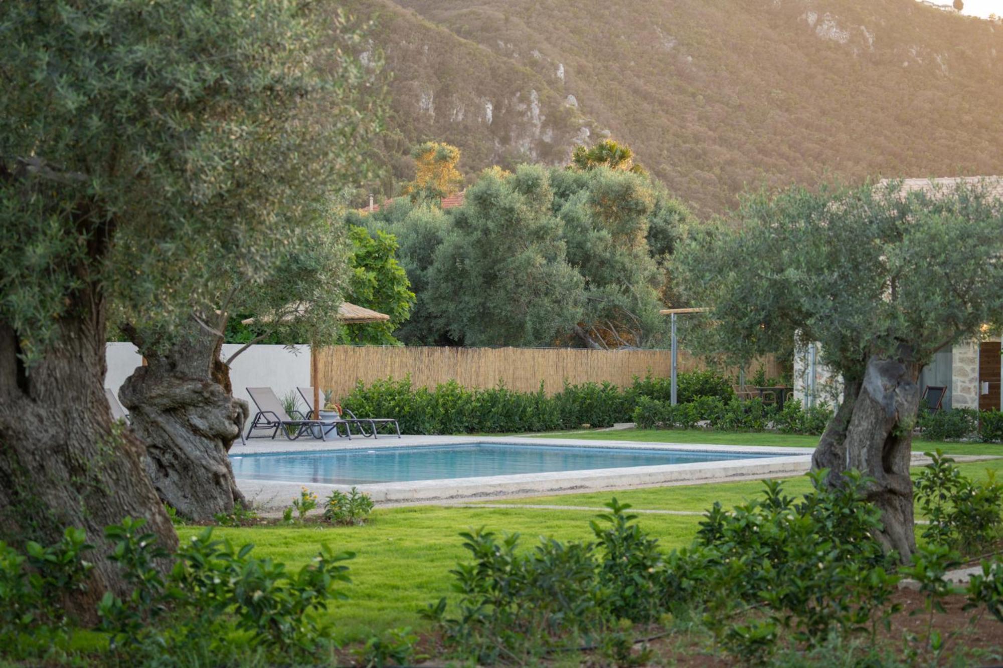Yannis Retreat Διαμέρισμα Λευκάδα Εξωτερικό φωτογραφία